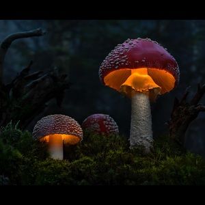 Donald Duck 🦆 Coffee Mug